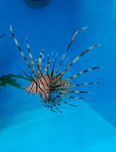 Screenshot_20250118_182635_Messages