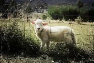 a4b1ff2b-b103-4860-a9d1-92cdef6fdfba