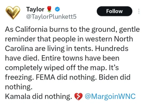 image_2025-01-13_064001788