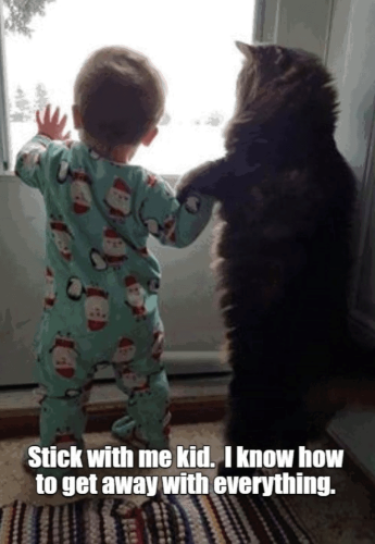 stick-with-kid-know-get-away-with-everything