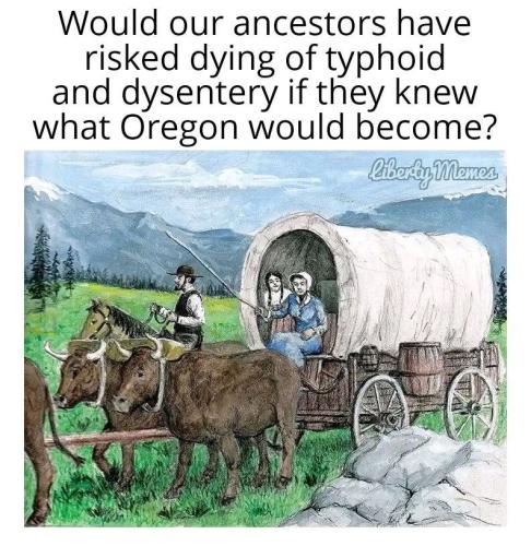 photo_2025-01-05_16-35-05