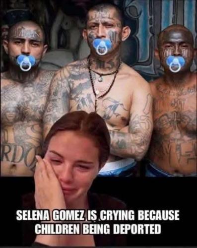 MS13 CRY