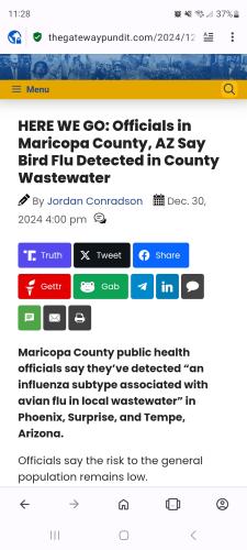 Screenshot_20241231_232842_Opera