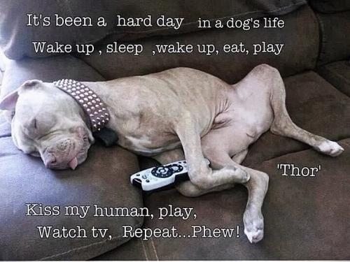 FB_IMG_1738260178862