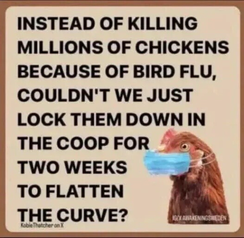 image_5BC92874-25FA-4AE9-9406-FDBFFC14F0B6