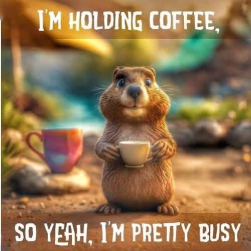 FB_IMG_1738320258911