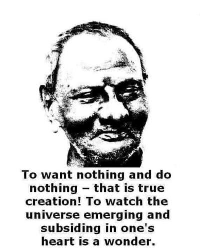 ,      545159_51961123140246