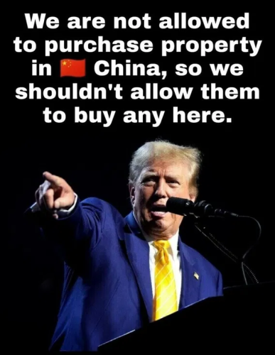 image_2025-01-07_063522928