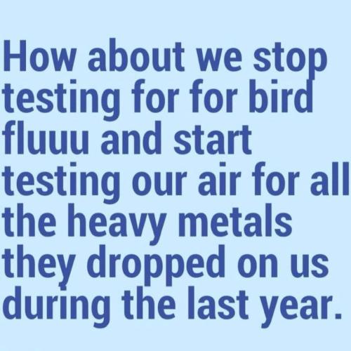 photo_2025-01-11_21-07-05