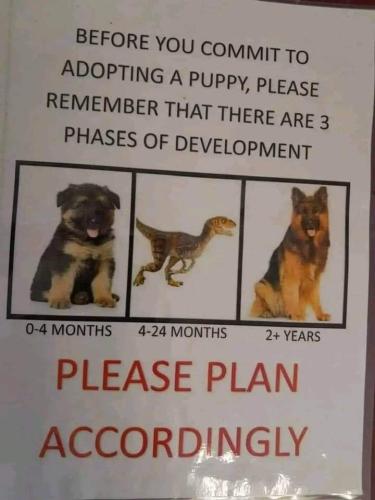 86cd4372d1635ee5aa6f16743464b059