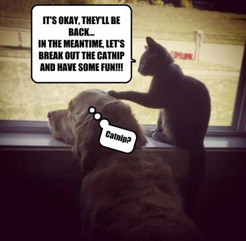 8c12355089c31adac2d1965390facc56