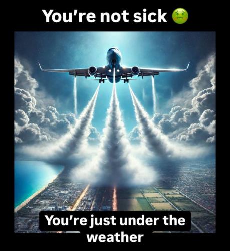 photo_2025-01-11_21-15-22