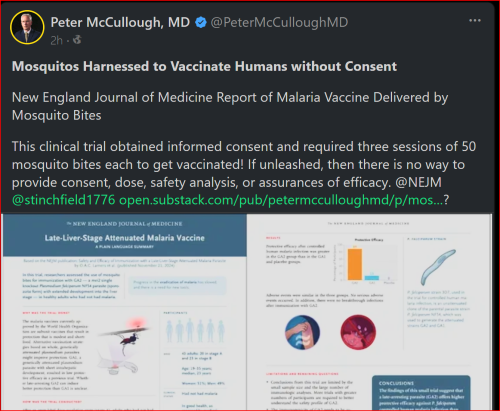 Screenshot 2025-01-09 103456