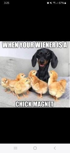 Screenshot_20250113_152557_Facebook