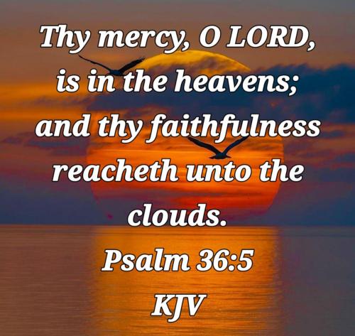 f11c4be4-daa6-4fd9-93bb-e94d6dd2b0ac