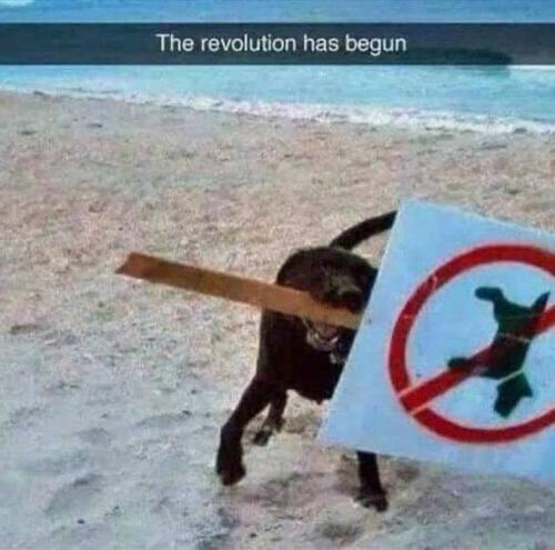 revolution-has-begun