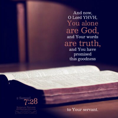 2-sam-7-28-JPS-unsplash-400x400