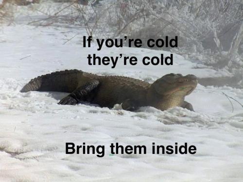 image_B6B55CB0-291A-458A-8030-81EE791DD338