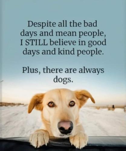 c1379d8a84c22041cfb595dae3496bf2