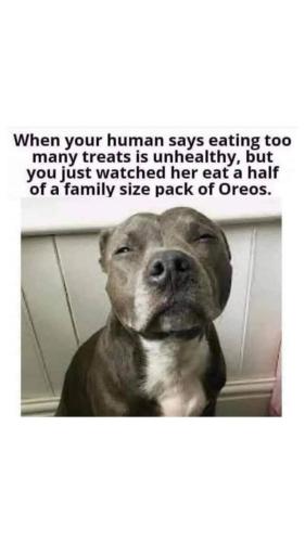 FB_IMG_1737821647828