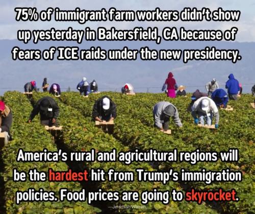 FB_IMG_1737643247881