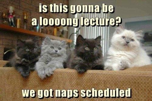 667d8e00ea49c4c37d894e5ca8a6adf0