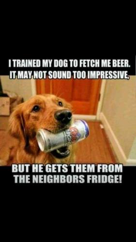 bbc3af28a687982054809cc2f0a2df03