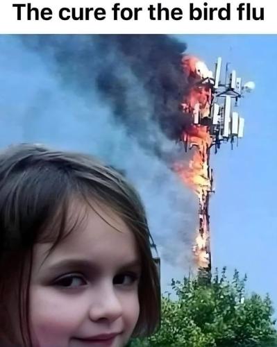 photo_2025-01-07_22-25-02