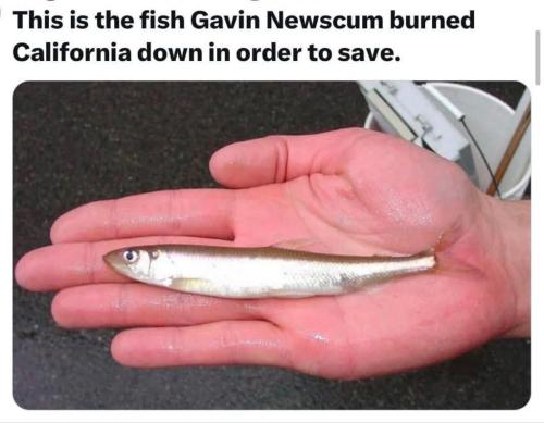 e2d5ab85-ea0b-4f7a-9047-959550c84992