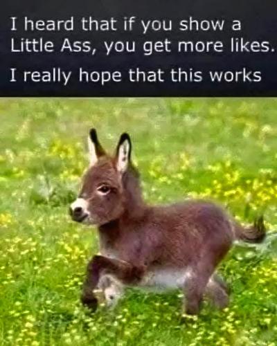 FB_IMG_1736707700535