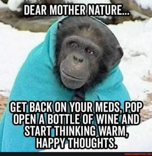 63fb6a3a23faee60c5111166e0ca8ad98176c5ca25dc74e25ec97f46083d1cc6_1