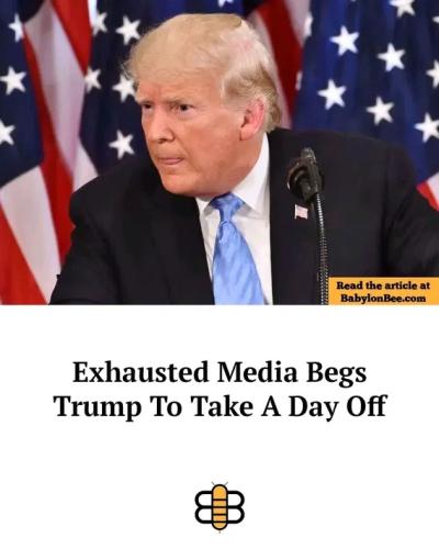 image_0E190EDF-E7DE-494F-9B7F-B9B82EEBC67D