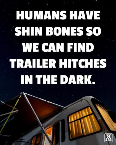 FB_IMG_1737821244895