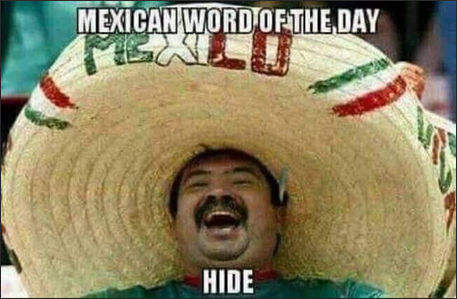 Mexican word of the day hide