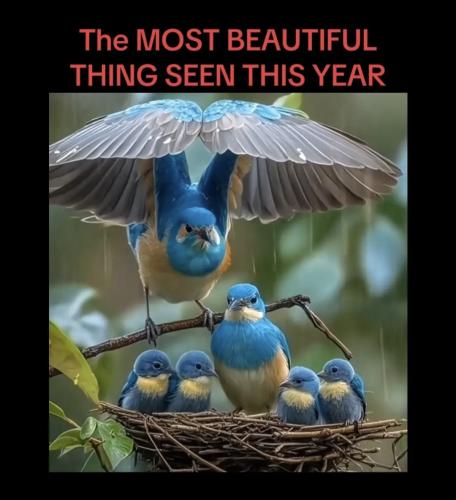 Screenshot_20250116_092108_TikTok