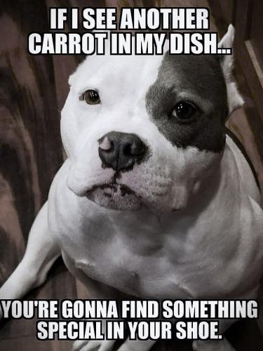 FB_IMG_1738090699639