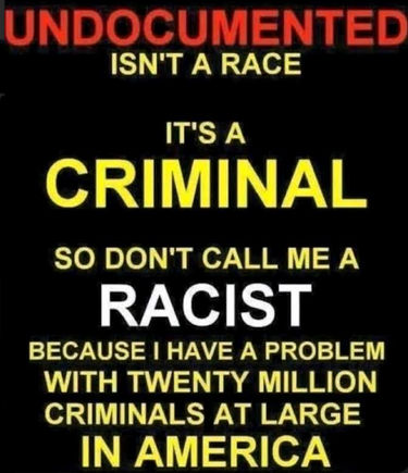 illegal immigration416