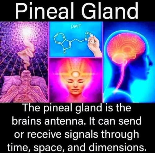 ,      ,             BdX7M1JO