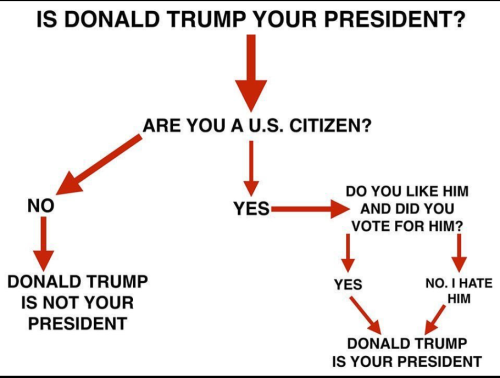 Screenshot 2025-01-22 133951