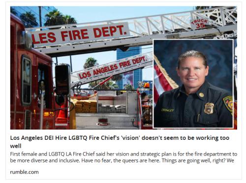 LA DEI Hire screenshot