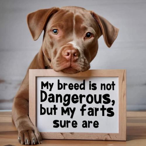 FB_IMG_1736239314705