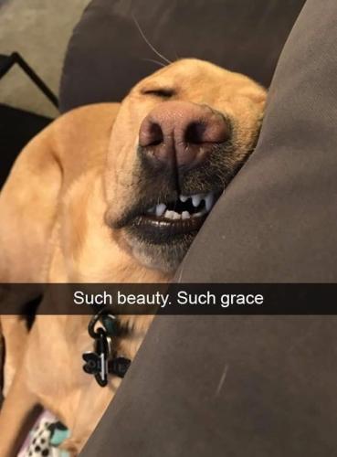such-beauty-such-grace