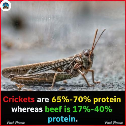 FB_IMG_1736075295117