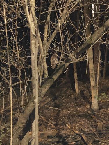 Walhalla Road Ohio 5