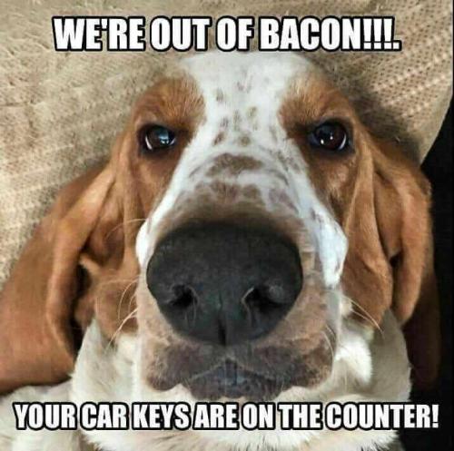 photo_2021-01-15_15-39-25