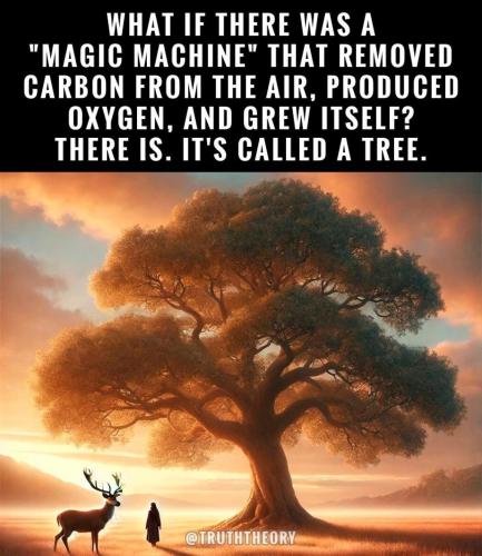 84D5B98E-F6BB-4BB9-A9B0-2ADFD750FD34