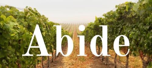 f0421439-4b5e-4a08-8033-cfaa88bf6ac0