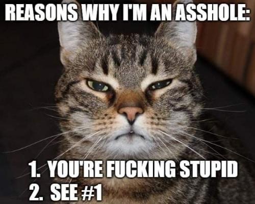 3cb4497853f7c5a50f37edad5970f576