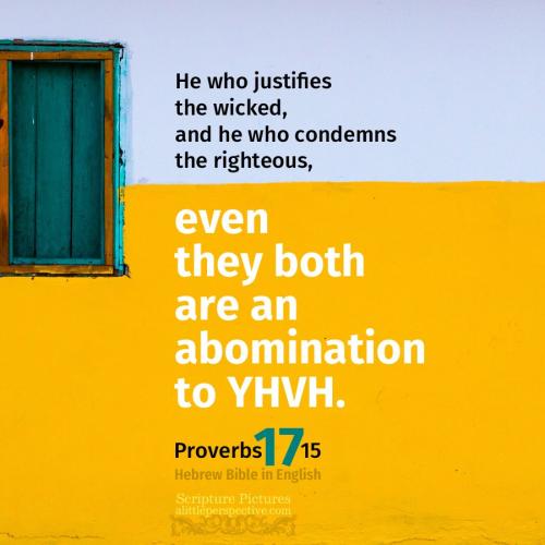 pro-17-15-HBE-unsplash