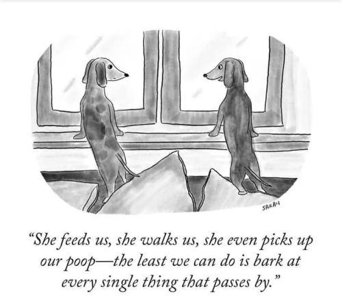 FB_IMG_1735689108297